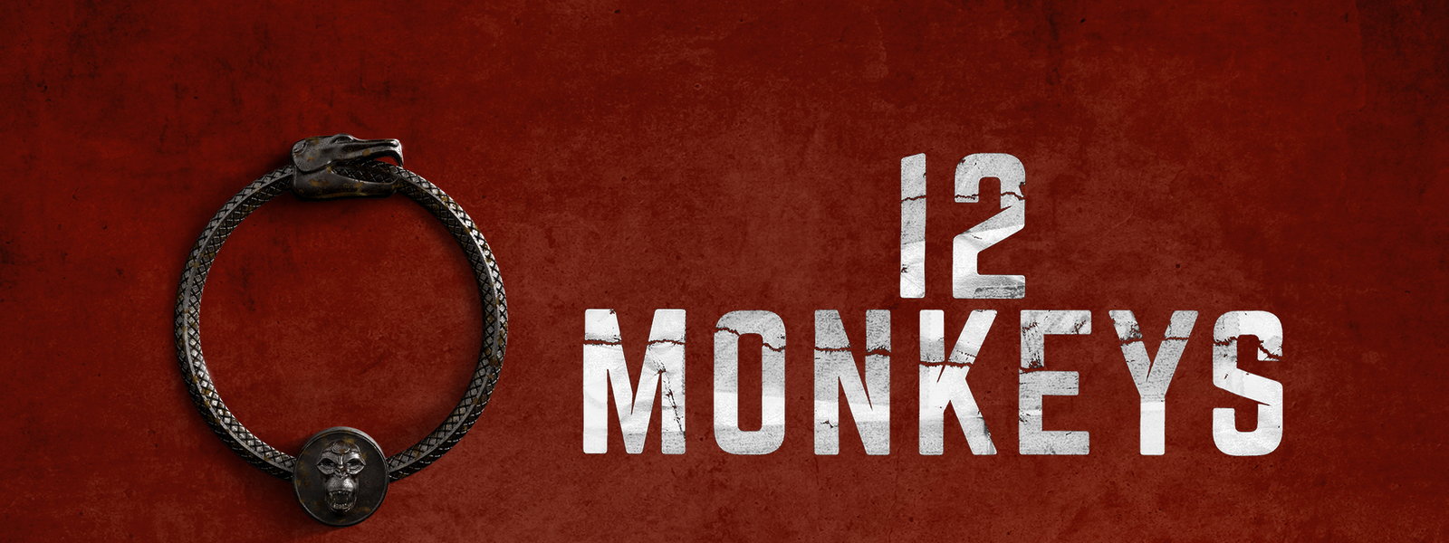 Risultati immagini per 12 Monkeys